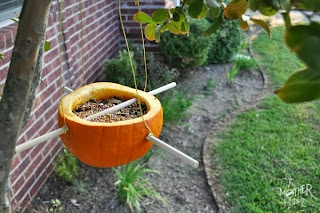 Bird Feeders, winter birds, feeding birds at winter