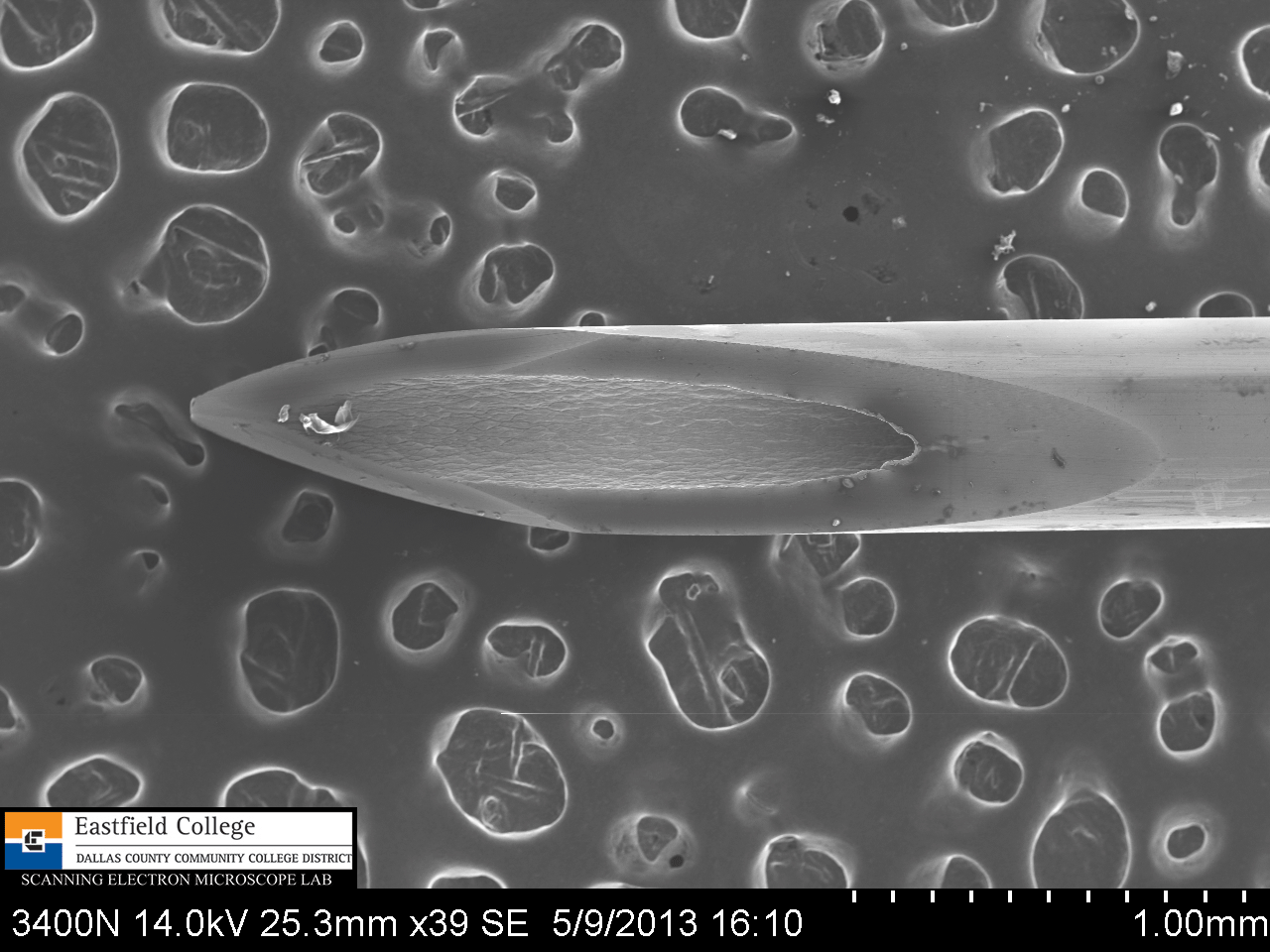 Scanning Electron Microscope Blog How Sharp is a Hypodermic Needle?