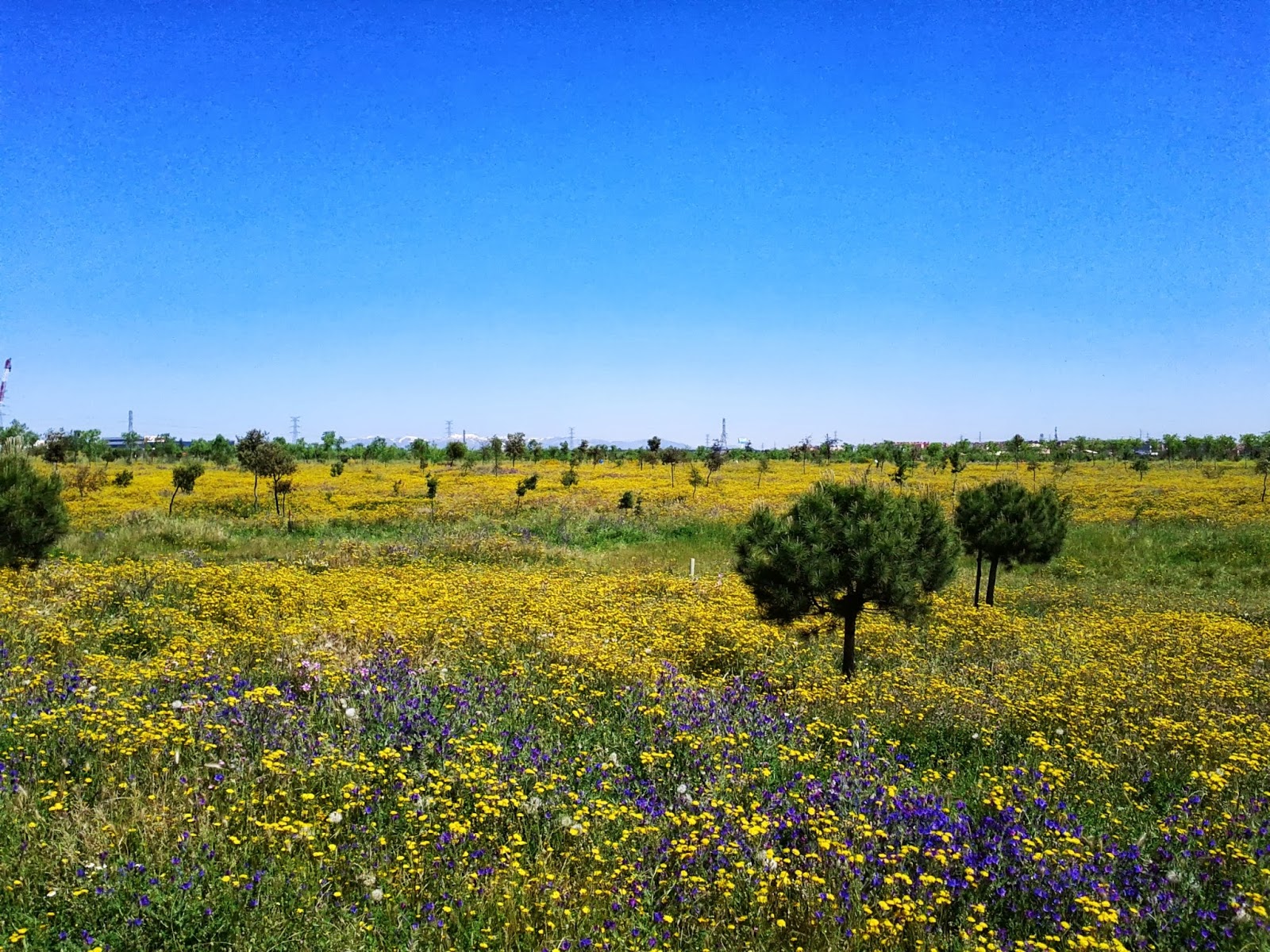 La cueva A Fuenlabrada a buscar tesoros