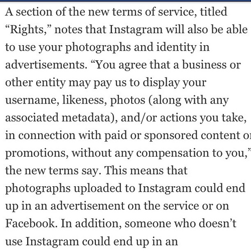 Law for Writers Stephen Terrell Small Print Words Have BIG Impact