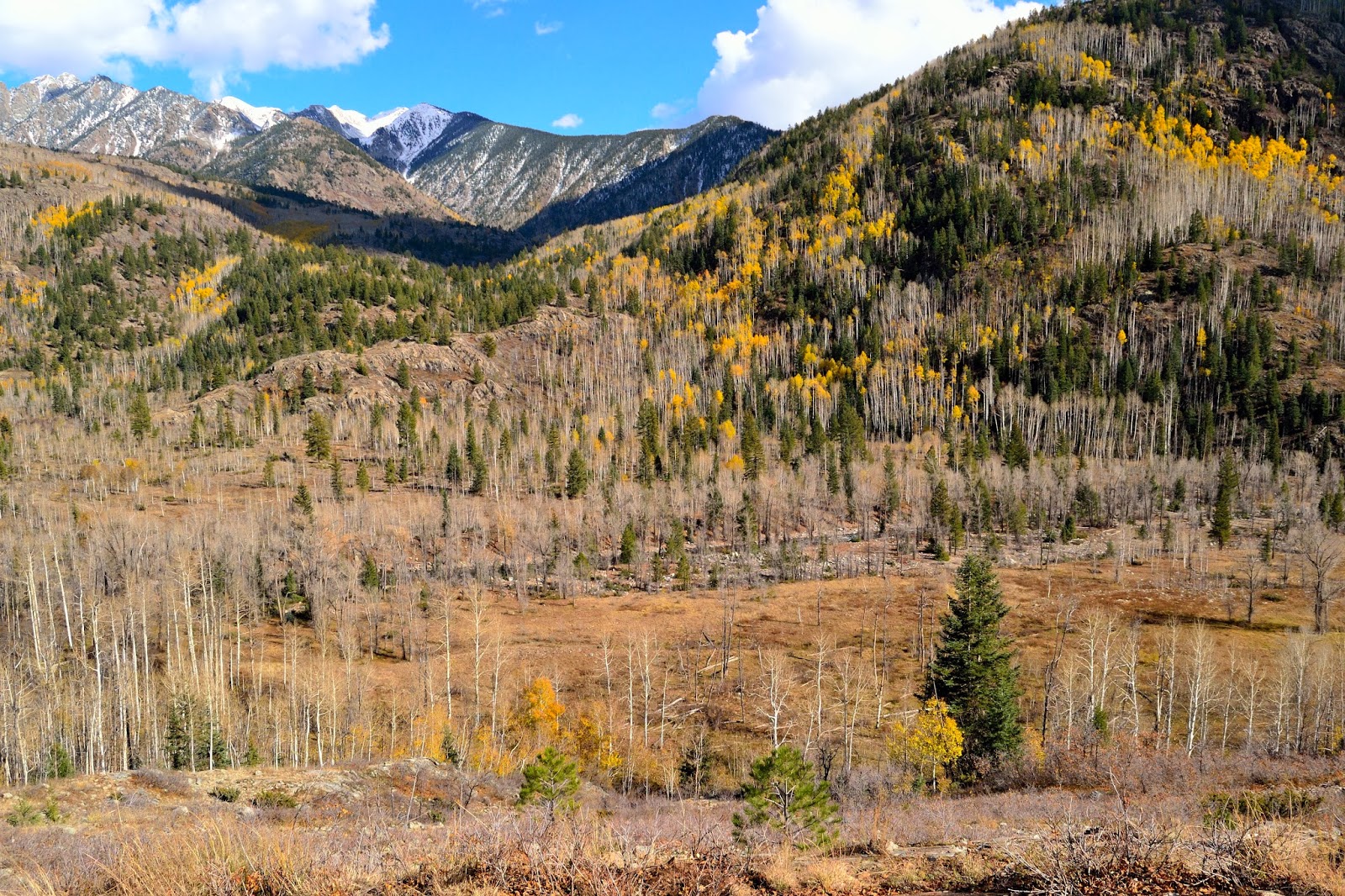 Hiking and Camping Southwest Colorado Purgatory Flats