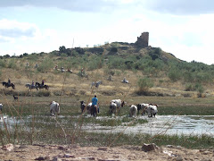 La Laguna