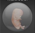 Baby Genesis (Miscarried April 2014 at 9 weeks)
