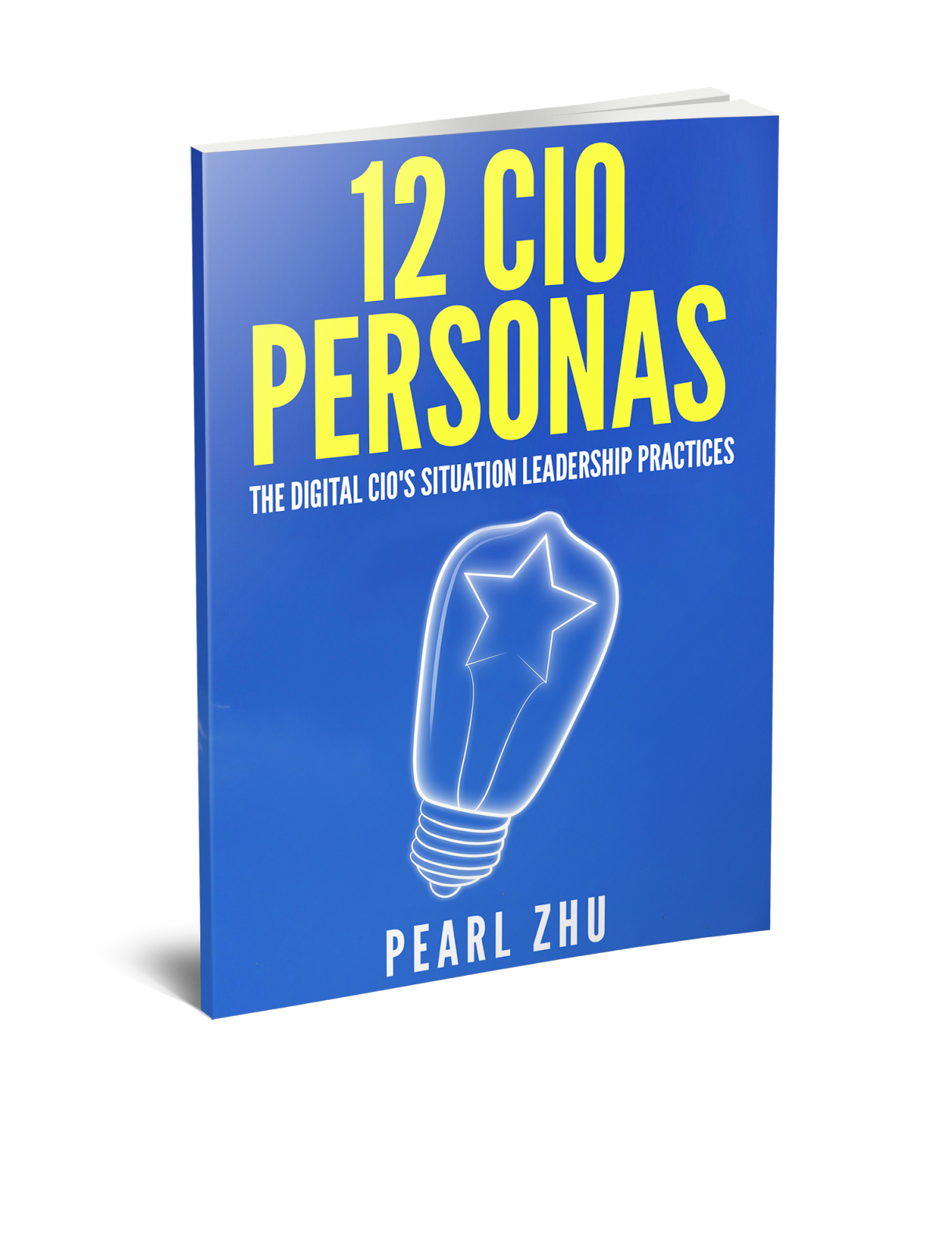 12 CIO Personas