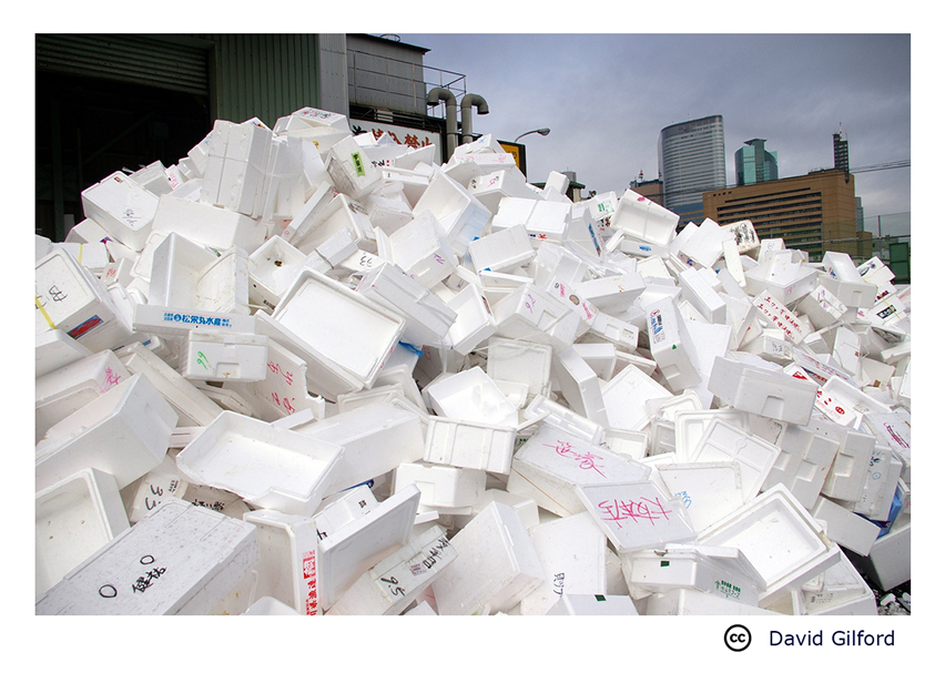 Pacific Science Center Life Sciences Can Mealworms Digest Plastic?