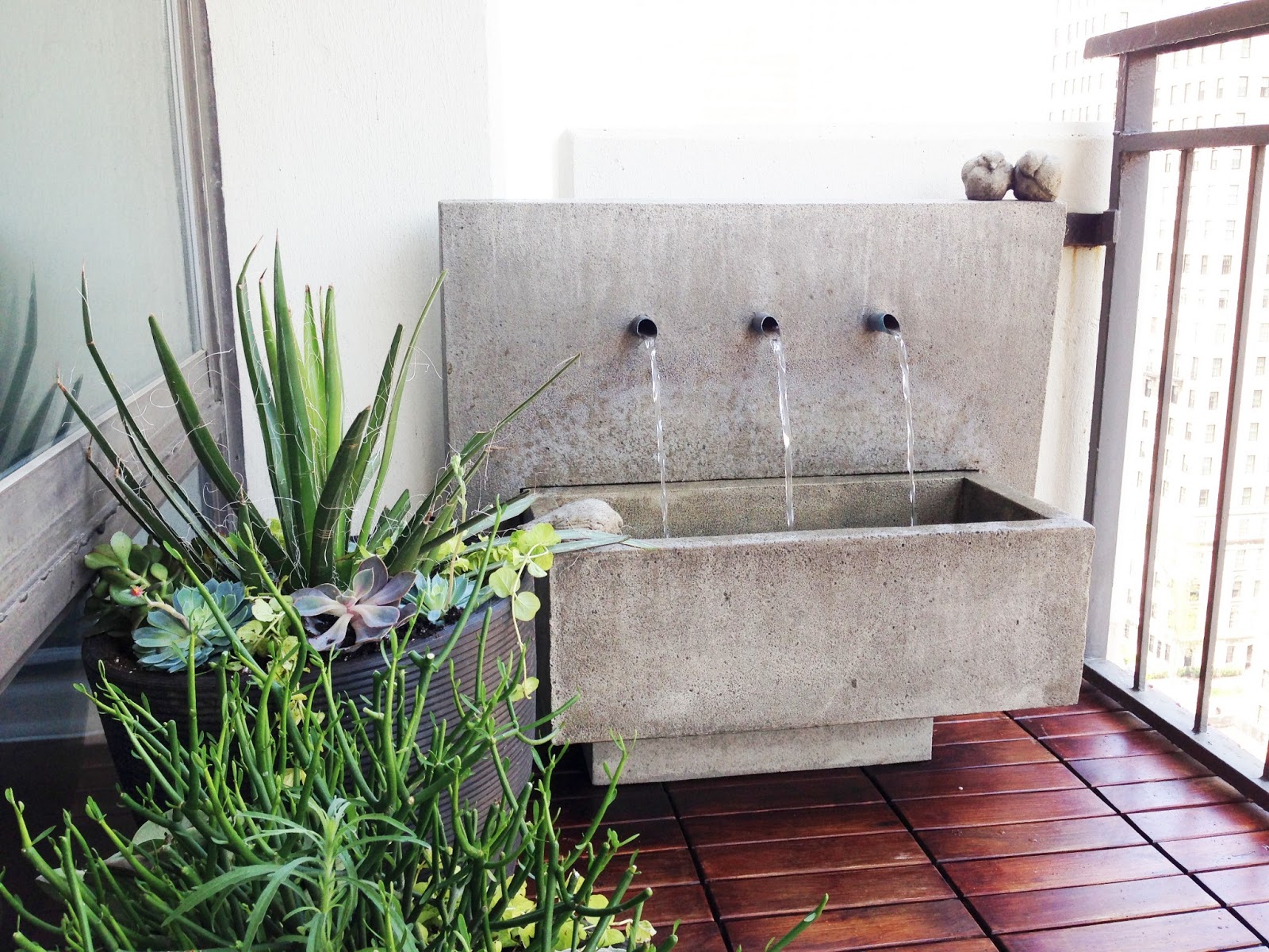 Green Walls Office Plants Mcfarlane Douglass