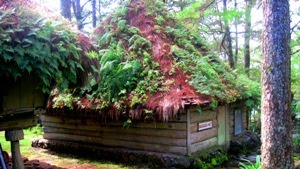 THE TWO HUTS OF COMPASSION: ONE NAMED SAGADA AND THE OTHER IFUGAO