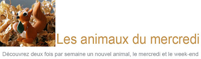 Les animaux du mercredi