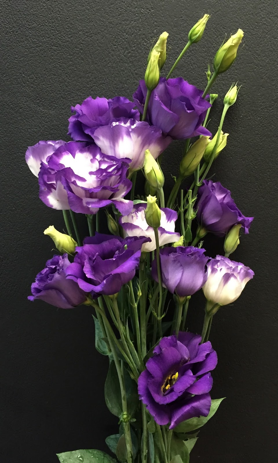 The Enchanted Petal Lisianthus