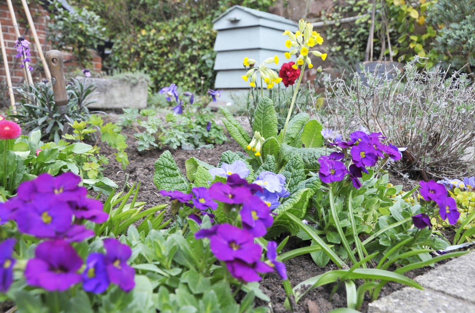 Helen Philipps Flower Patch