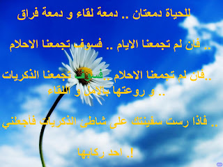 اترك رساله ... - صفحة 19 %D8%B1%D8%B3%D8%A7%D8%A6%D9%84+%D8%B9%D8%AA%D8%A7%D8%A8+2013+%D8%A8%D8%A7%D9%84%D8%B5%D9%88%D8%B1