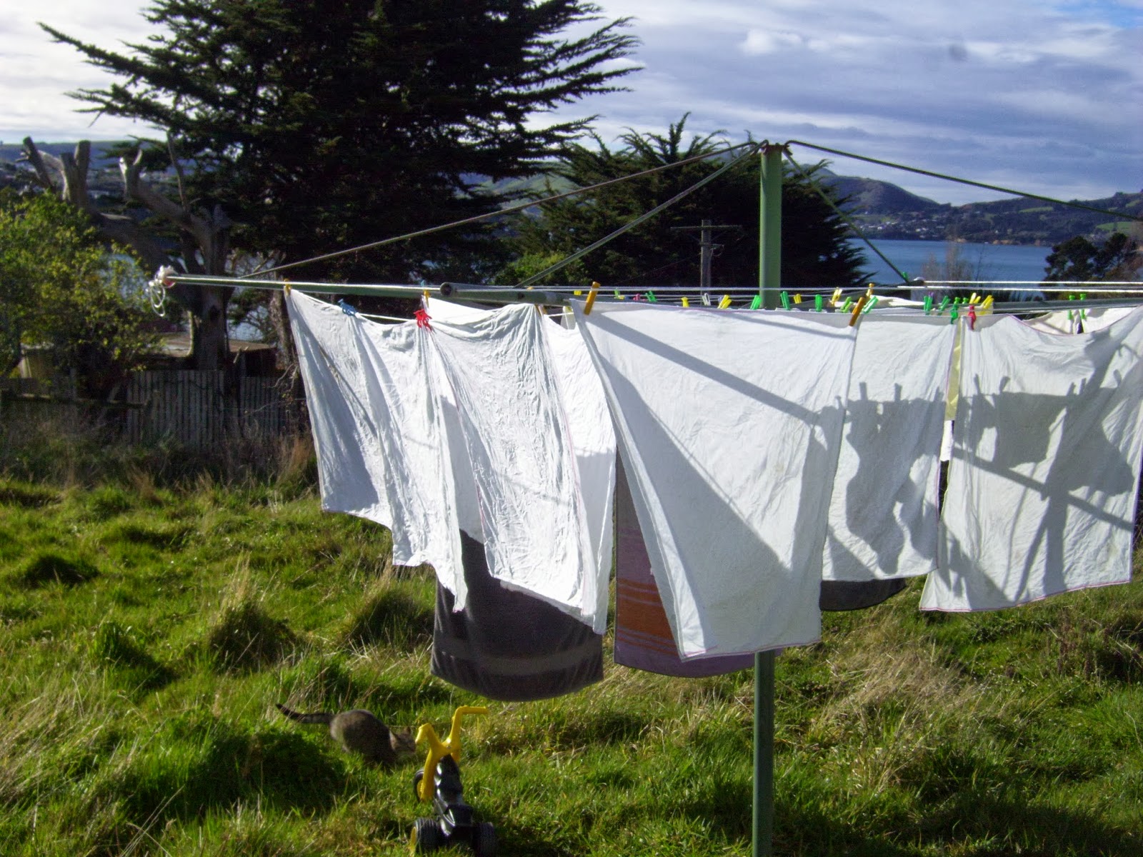 Cotton flat nappies Nappyneedz