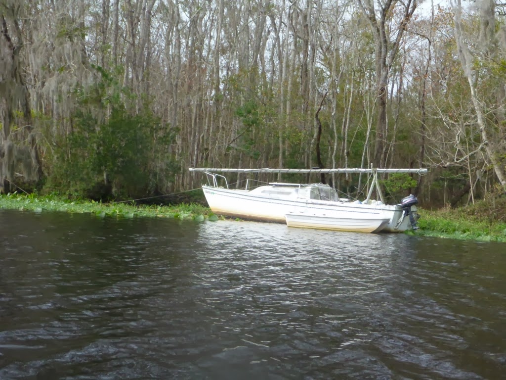 Troutrageous! Fly Fishing & Tenkara Blog Exploring Florida Trout