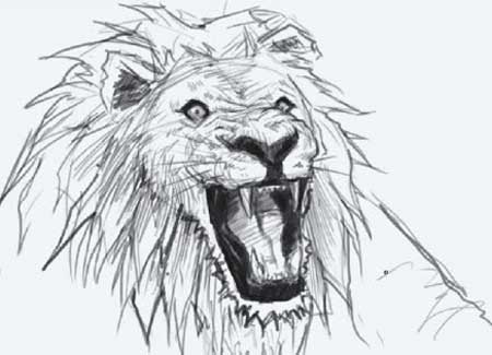 How to draw lion head
