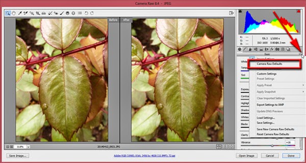Choose Camera Raw Defaults from the Camera Raw Settings menu Choose Camera Raw Defaults from the Camera Raw Settings menu