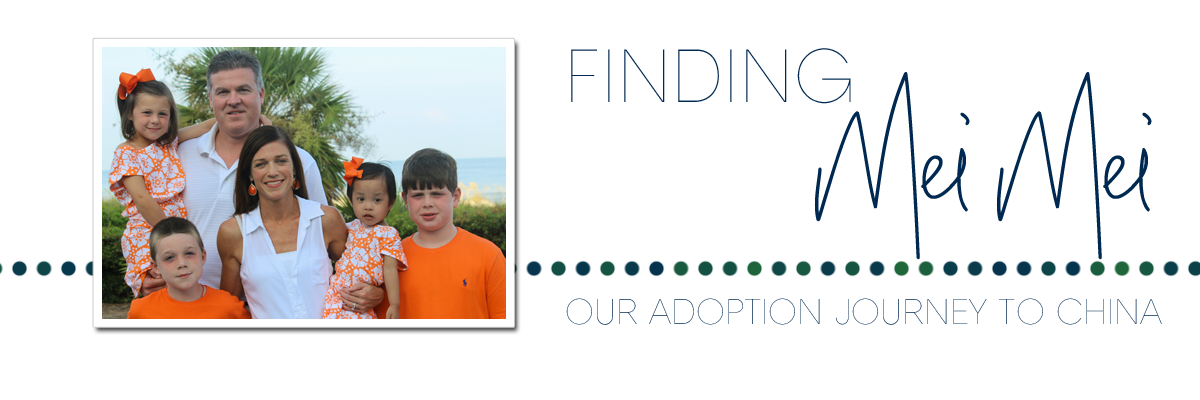 Finding Mei Mei:  Our Adoption Journey to China