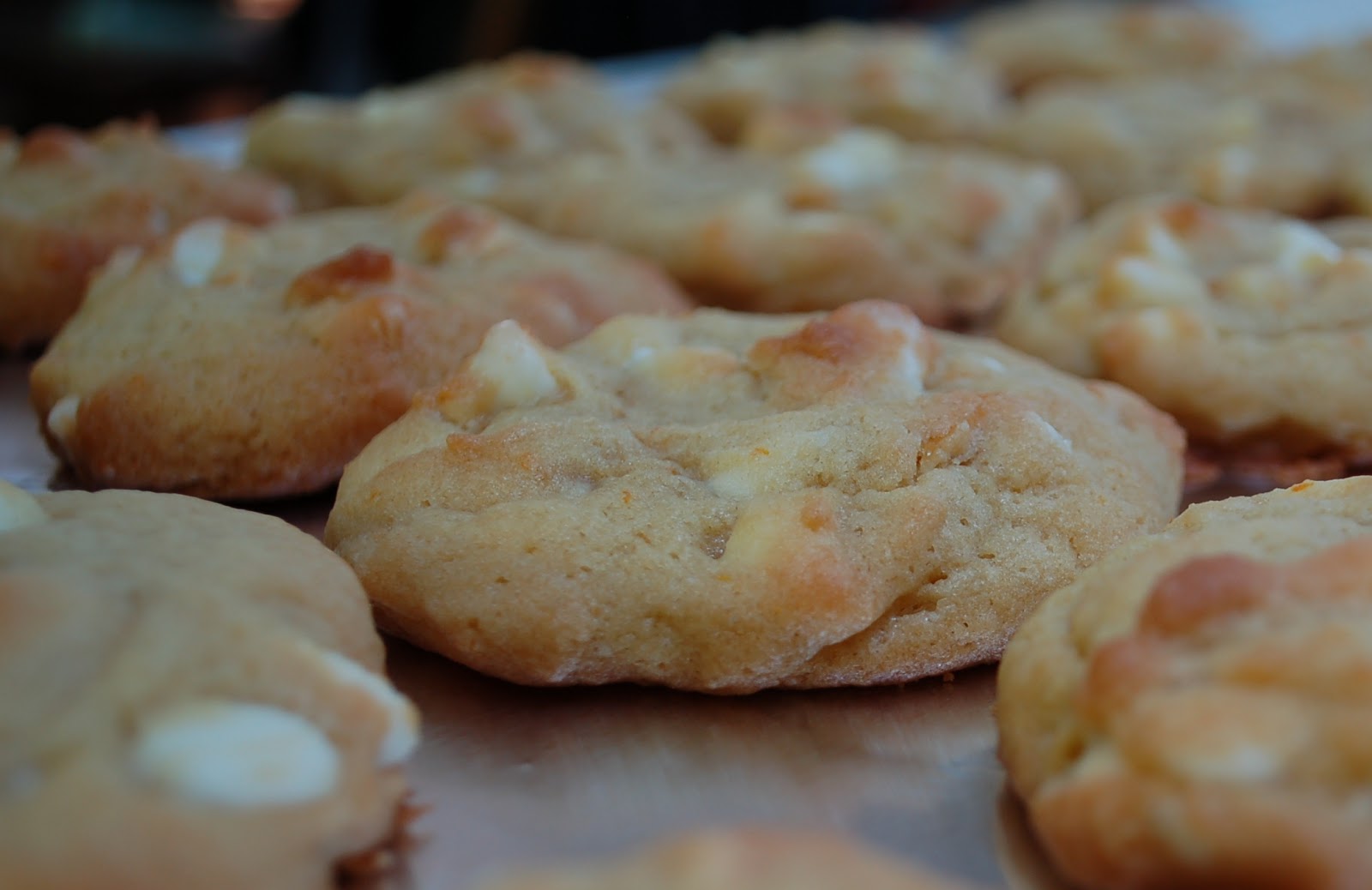 The Spice Garden An Ode to the Creamsicle Candied Citrus Cookies