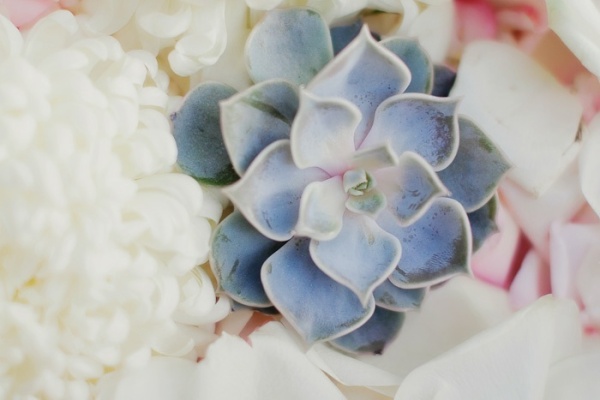 How Many Metaverse ETP ETP Are Mined In A Day