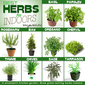 Herbal Business