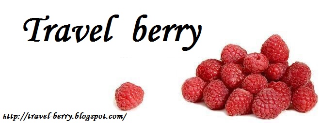 Travel Berry