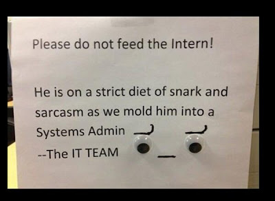 Please do not feed the intern systems admin