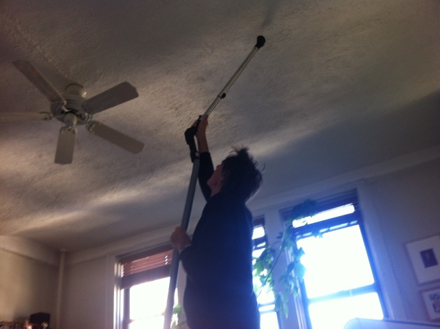 Eatdavelove Ceiling Fan Dust