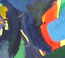 Bird Watching, close up