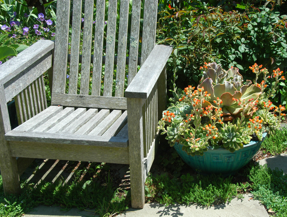 Natural Gardening: July 2013