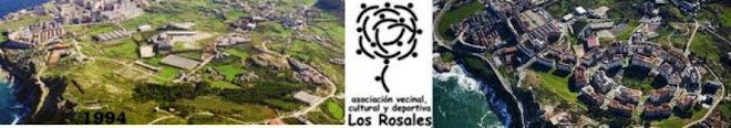 A.V.C.y D. Los Rosales