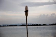 Solitario en la vía.