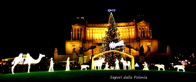 Consolato Onorario Di Polonia Napoli