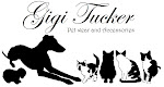 Gigi Tucker pet wear