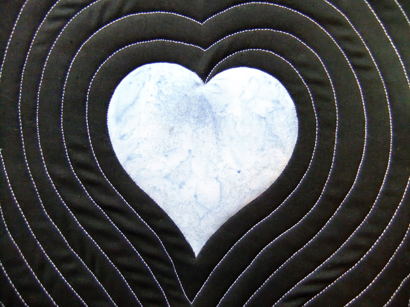 The Free Motion Quilting Project 5 Tips for Echo Stitching