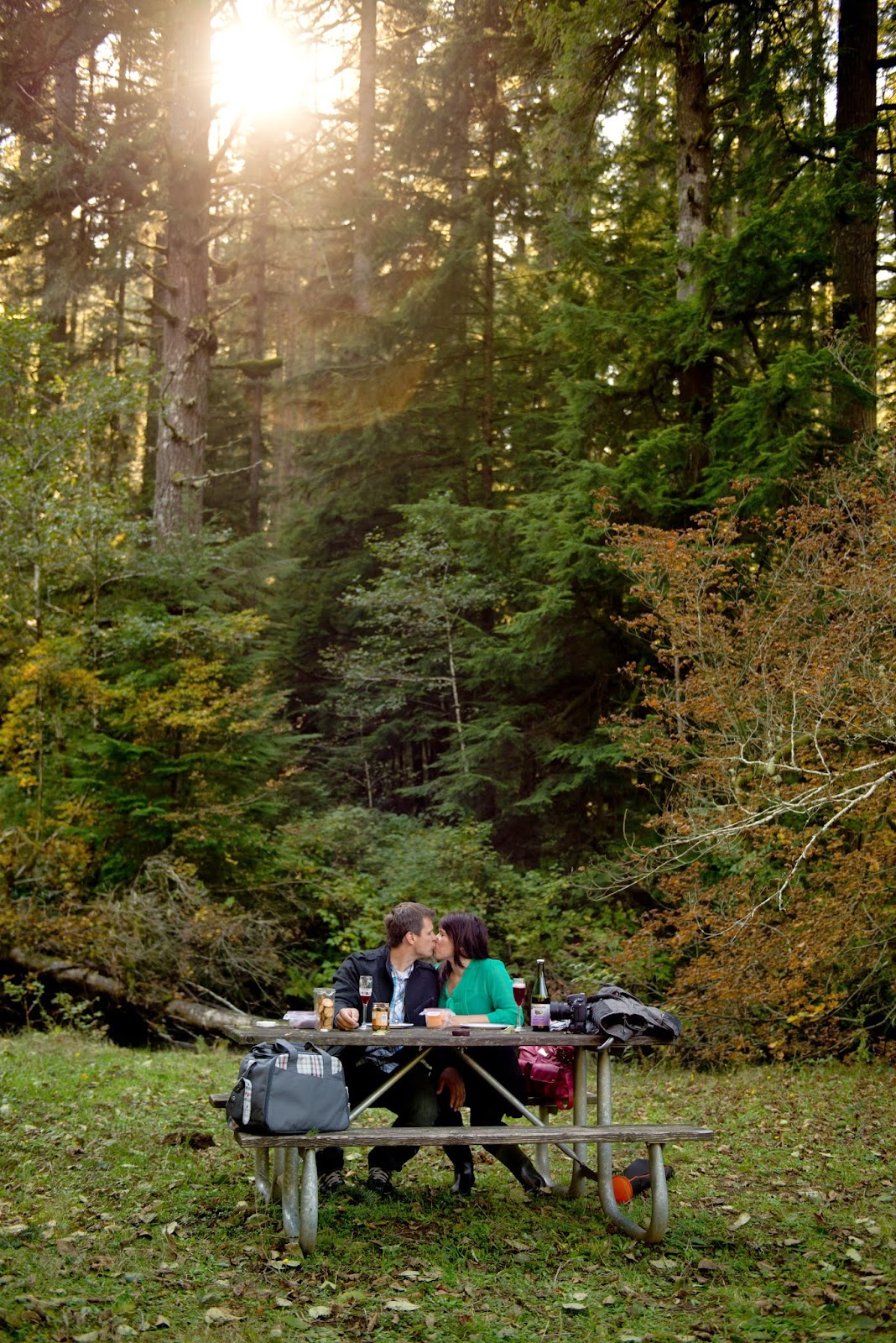 Domestic Fashionista What's In My Picnic Basket