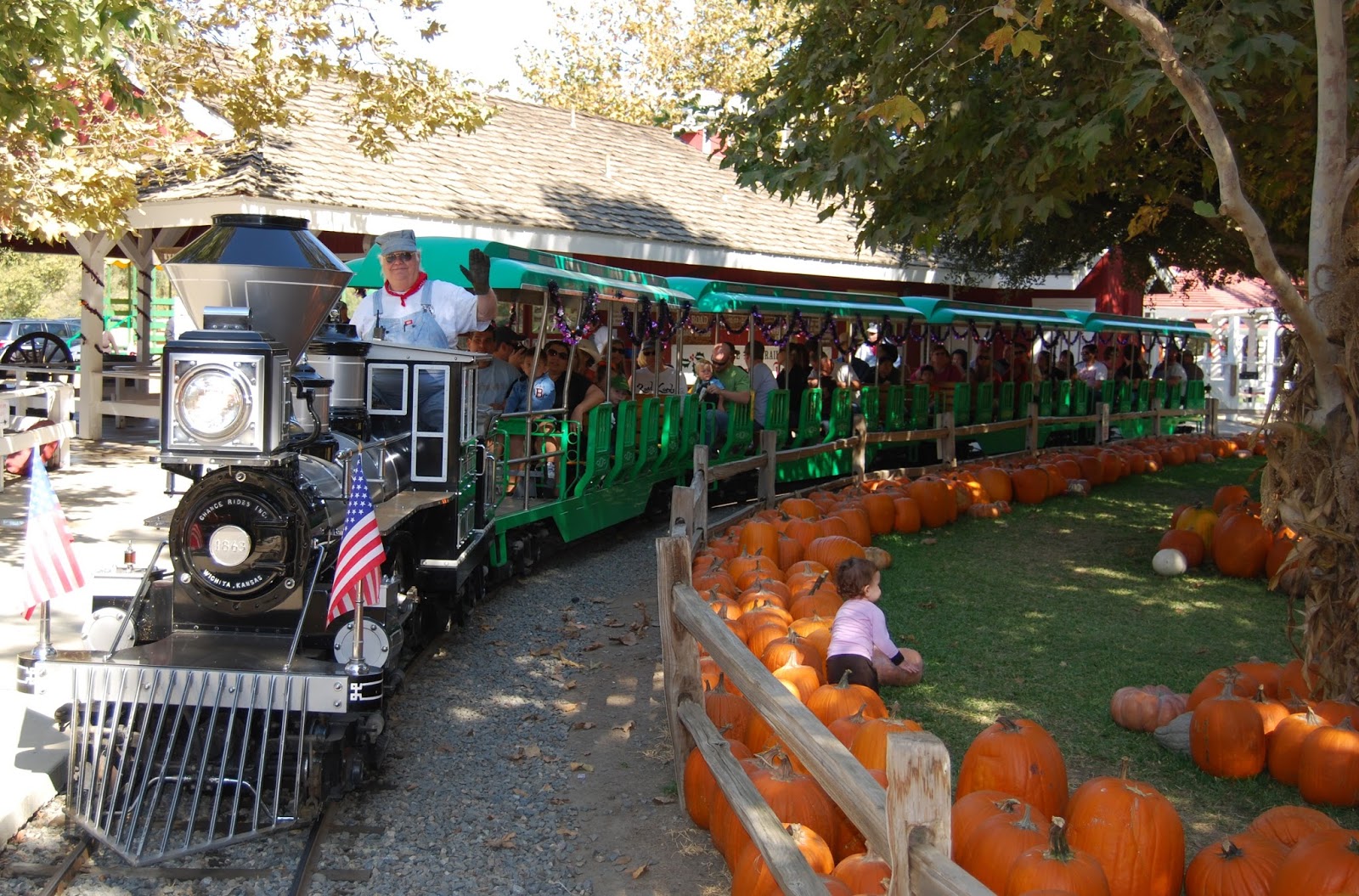 Pumpkin Patch Train Ride California