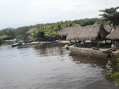PATRIMONIO ECOLOGICO DE COVEÑAS