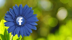 un social network per ragazzi autistici autismo e social