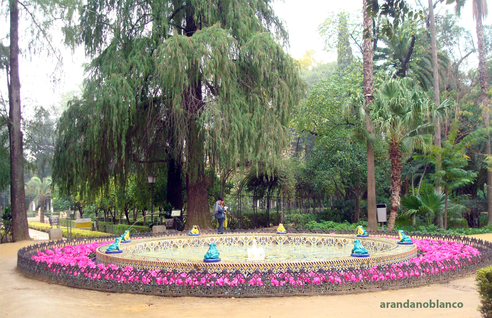 parquemarialuisaencinarosa Fuente de las ranas Parque de María