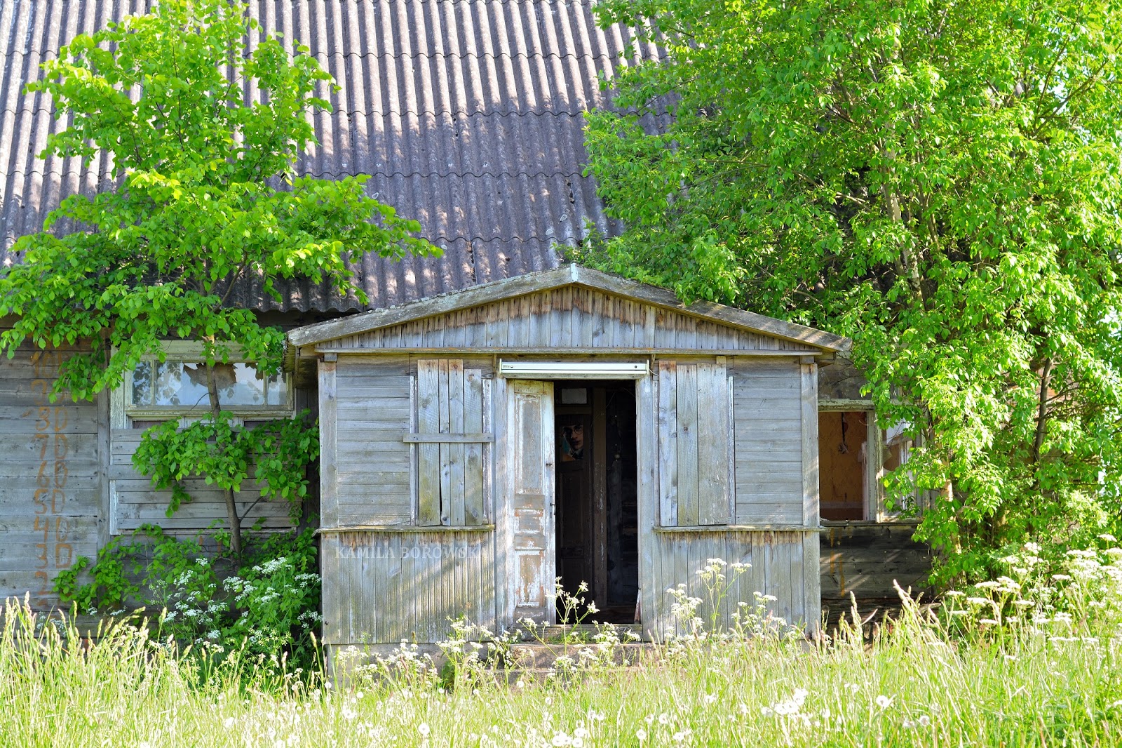 DSC_0835.JPG