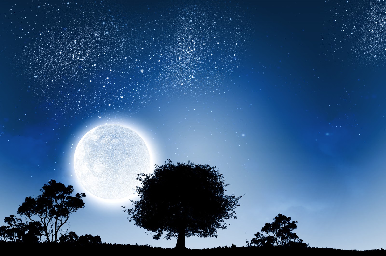 Afficher l&rsquo;image source