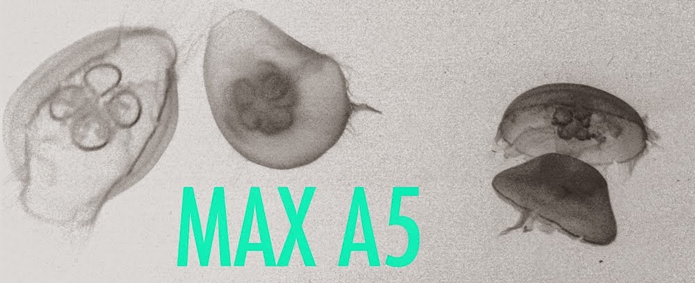 Max A5