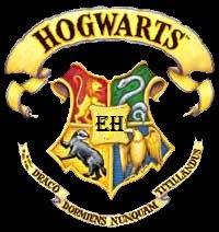 Elita Hogwartu