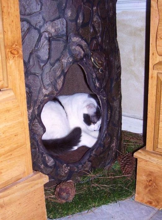 Luxury Cat Trees for Spoiled Rotten Kitties Realistic Look Cat Tree