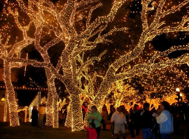 ~~Latest~~ Christmas Lights | Christmas Tree Lights | Christmas Lights Decoration ~~Latest~~ Christmas Lights | Christmas Tree Lights | Christmas Lights Decoration
