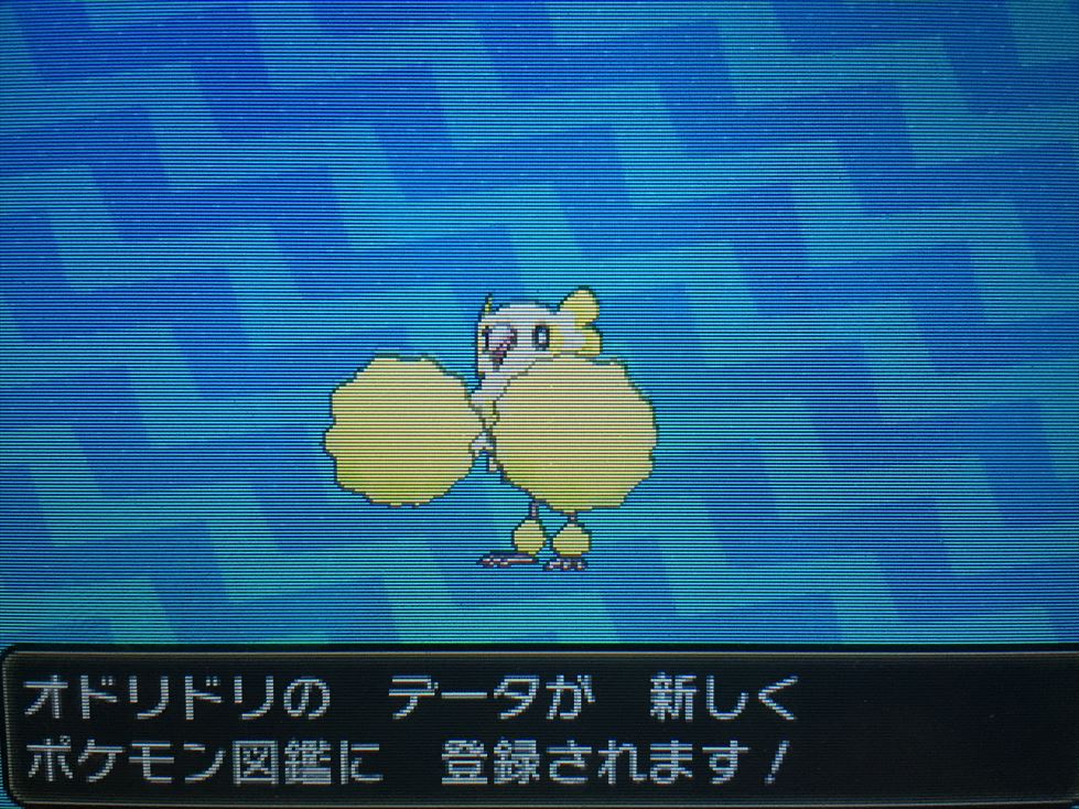 ポケさんぽ ポケットモンスター サン 4 3番道路 ポートエリア 3ds