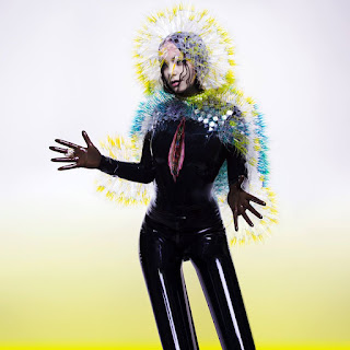 Björk, Vulnicura