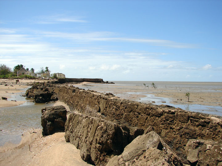 Under the Camelthorn The old Port of Sofala