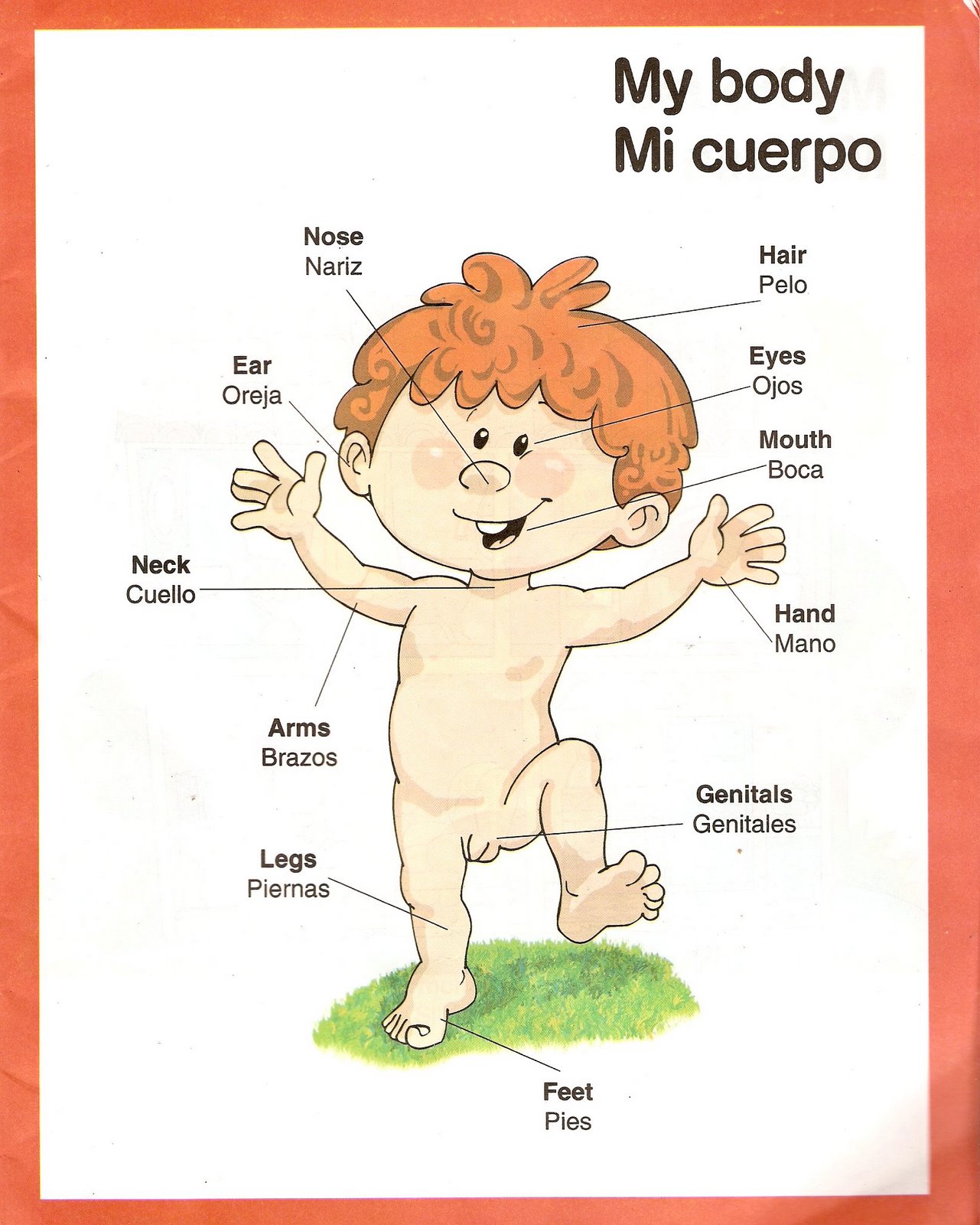 Como hacer un essay en español picture