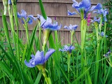 My Photo