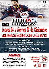 Torneo FIFA14